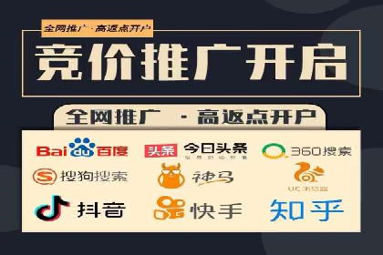 搜索引擎优化（SEO）与竞价广告（SEM）的对比案例